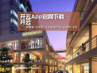 案例展示一