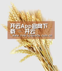 开云App官网下载 - 开云