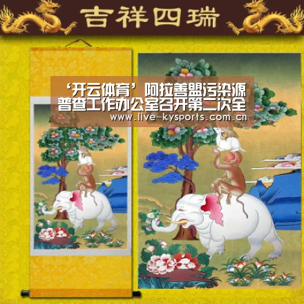 ‘开云体育’阿拉善盟污染源普查工作办公室召开第二次全国污染源普查工作会 深入推进第二次全国污染源普查工作(图3) 开云体育